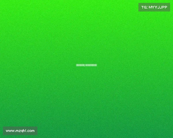 美国格斗赛事;美国格斗表演节目